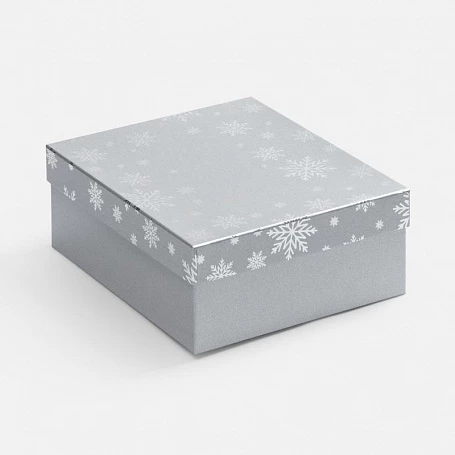 Коробка Wintry, серебристая