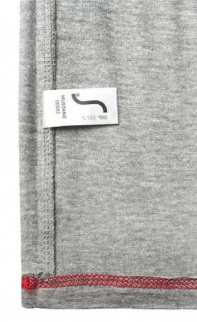 Футболка мужская Regent Fit 150, коричневая (терракотовая)