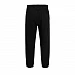 Джоггеры унисекс Century, черные