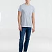 Футболка мужская Regent Fit 150, голубой меланж