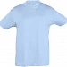 Футболка детская Regent Kids 150, голубая