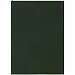 Ежедневник Flat Light, недатированный, зеленый
