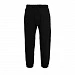 Джоггеры унисекс Century, черные