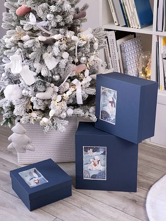 Коробка The Blue Bear, M